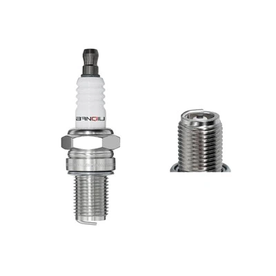 Platinos uždegimo žvakė BR10ECMVX 2457